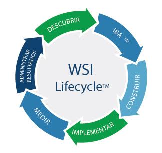WSI Lifecycle - Proven Methodology