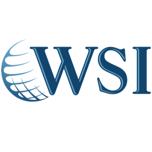 Agencia de Marketing Digital - WSI